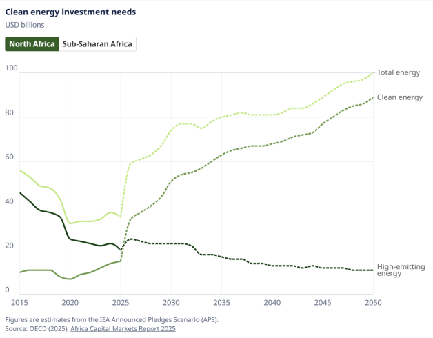 Clean energy investment needs
