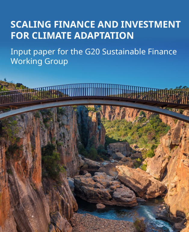 Cover page - G20 Sustainable Finance WG Paper