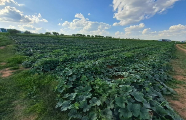 Lesotho Ministry of Agriculture image