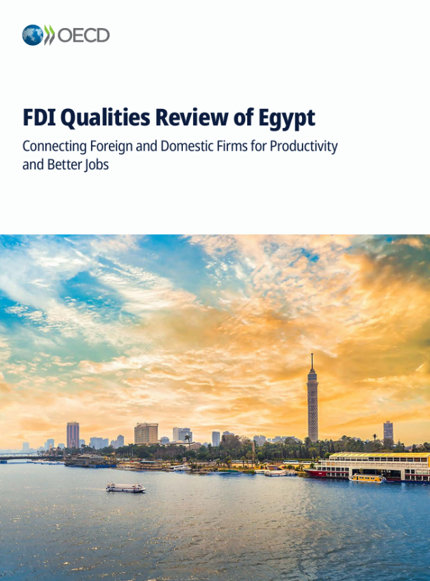 FDI Qualities Review Egypt