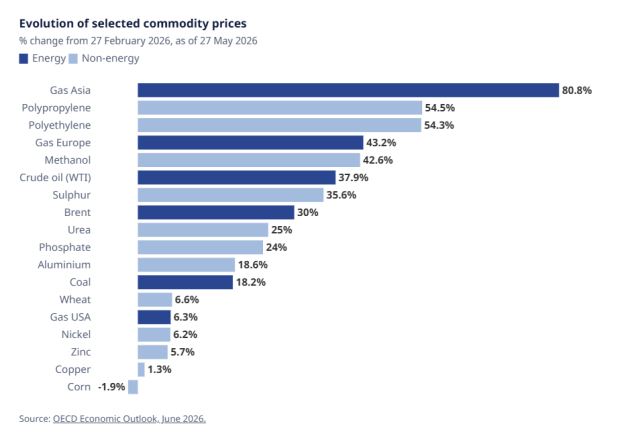 Evolution of selected commodity prices