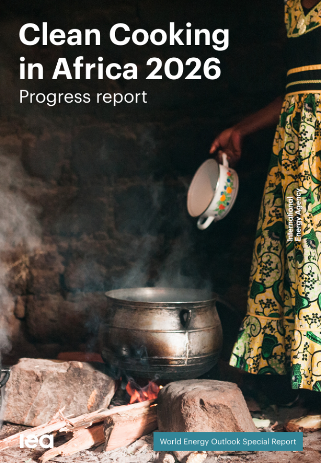 Clean Cooking in Africa