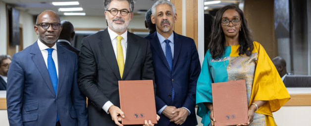AfDB African Sovereign Wealth Fund Partnership