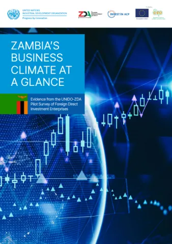 UNIDO-ZDA Zambia FDI Report