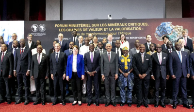 AfDB Critical Minerals