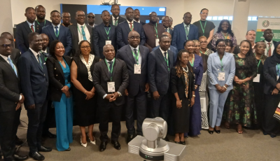 DEVELOPING BANKABLE INFRASTRUCTURE IN THE ECOWAS REGION THROUGH PUBLIC-PRIVATE PARTNERSHIPS (PPP)